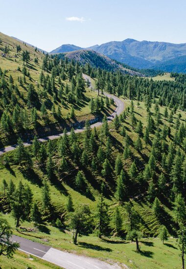 Aerial photograph of the Nockalm Road with trees and meadow | © nockalmstrasse.at/Gellner