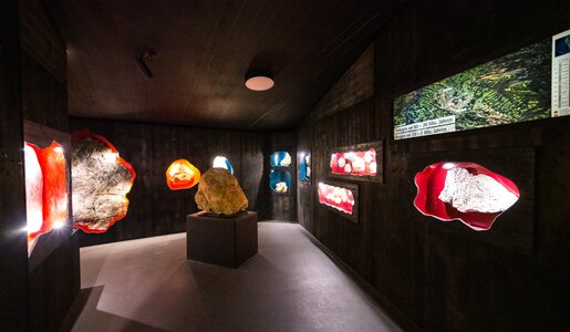 Fossil exhibition "Petrified Worlds" at the Nockalmhof Biosphere Park Centre | © nockalmstrasse.at/Stabentheiner